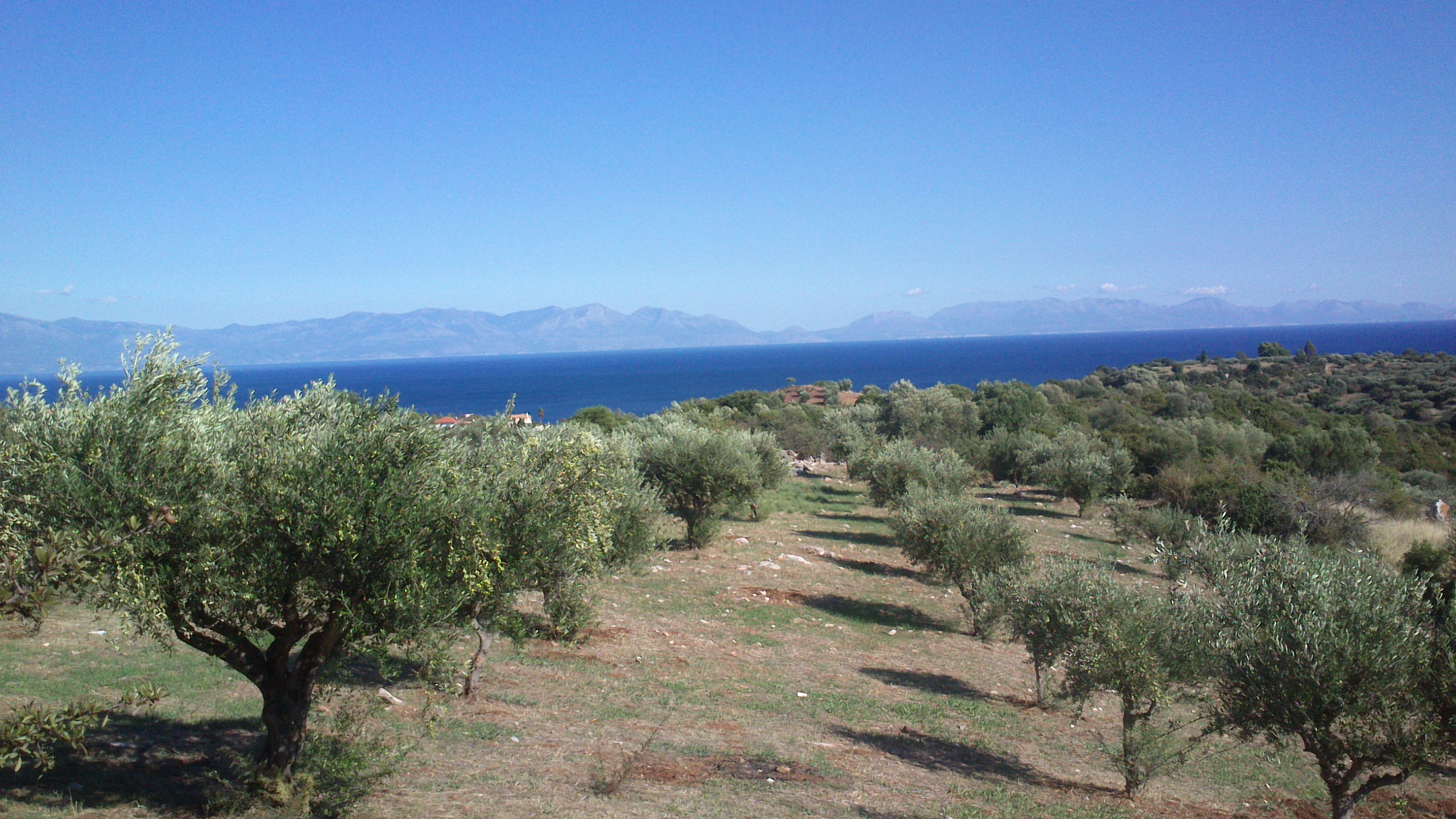 Livadakia 2